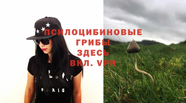 амф Михайловск