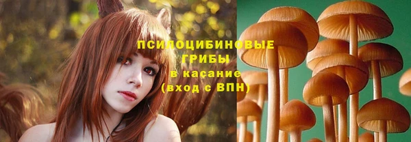 первитин Мегион