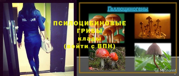мяу мяу мука Медногорск