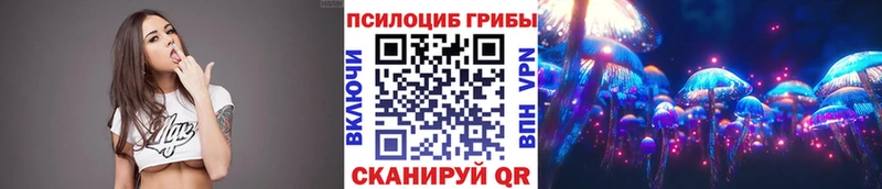 Псилоцибиновые грибы GOLDEN TEACHER  ОМГ ОМГ онион  Устюжна 